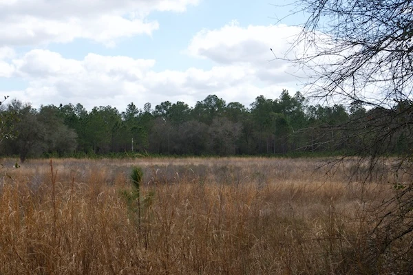 TTT-Withlacoochee-River-Park-05