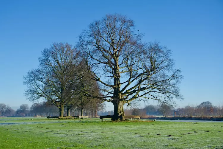 ttt-sp13-utrecht-path-utrecht-odijk-01