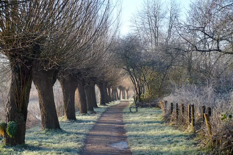 ttt-sp13-utrecht-path-utrecht-odijk-06