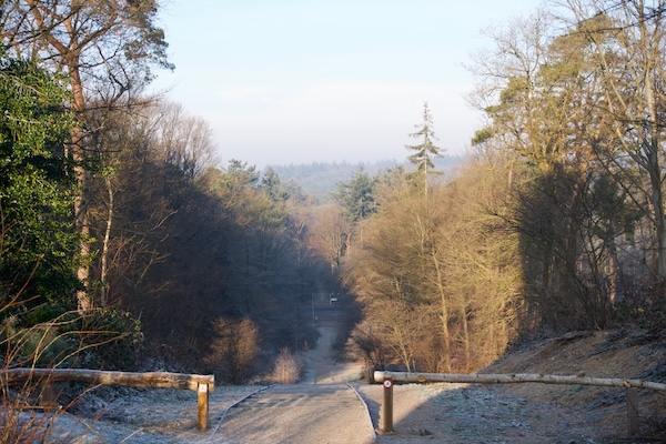 TTT-SP13-Utrecht-Path-Leersum-Veenendaal-02