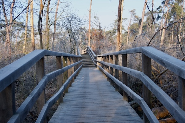 TTT-SP13-Utrecht-Path-Leersum-Veenendaal-03