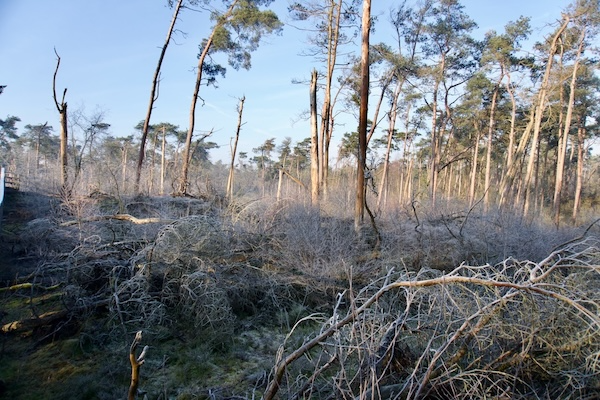 TTT-SP13-Utrecht-Path-Leersum-Veenendaal-04