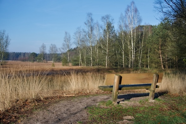 TTT-SP13-Utrecht-Path-Leersum-Veenendaal-07