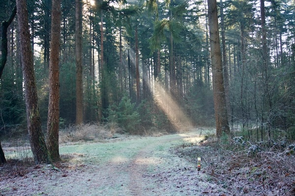 TTT-SP13-Utrecht-Path-Leersum-Veenendaal-09