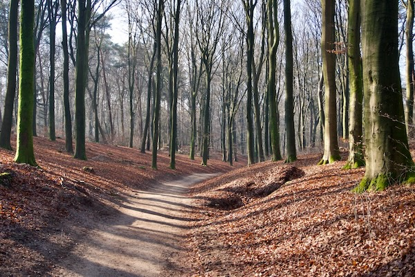 TTT-SP13-Utrecht-Path-Leersum-Veenendaal-10