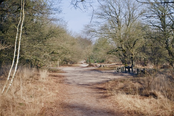 TTT-SP13-Utrecht-Path-Leersum-Veenendaal-11