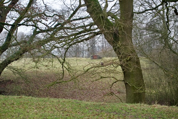 TTT-SP13-Utrecht-Path-Veenendaal-Scherpenzeel-02