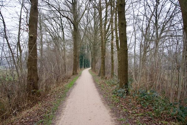 TTT-SP13-Utrecht-Path-Veenendaal-Scherpenzeel-05