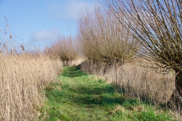 TTT-SP13-Utrecht-Path-Amersfoort-Baarn-09