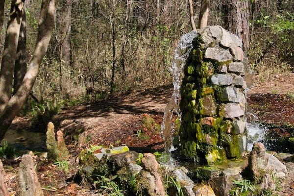 TTT-AIken-State-Park-02