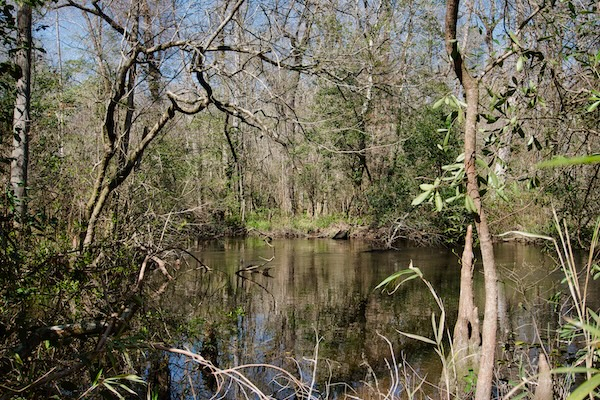 TTT-AIken-State-Park-03