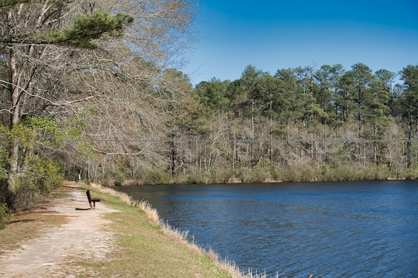 TTT-AIken-State-Park-04