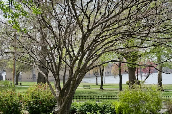 TTT-Harrisburg-Riverfront-Park-01