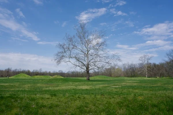 TTT-Hopewell-Culture NHP-07