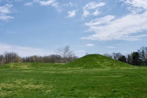 TTT-Hopewell-Culture NHP-08