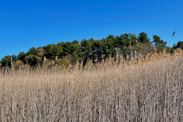 TTT-Beaver-Brook-Trail-Milford-CT-01