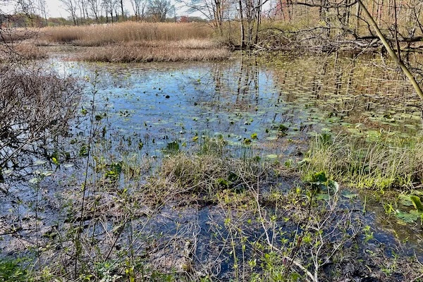 TTT-Beaver-Brook-Trail-Milford-CT-03