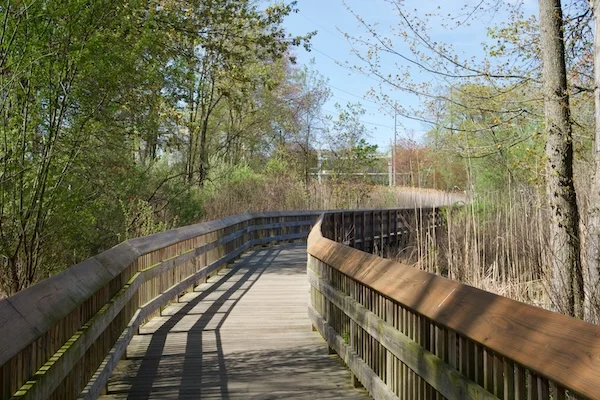 TTT-Beaver-Brook-Trail-Milford-CT-05