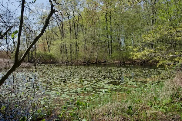 TTT-Beaver-Brook-Trail-Milford-CT-06
