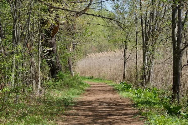 TTT-Beaver-Brook-Trail-Milford-CT-07