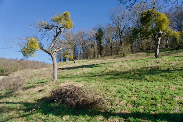 TTT-Gulp-Valley-Limburg-02