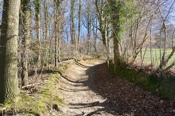 TTT-Gulp-Valley-Limburg-03