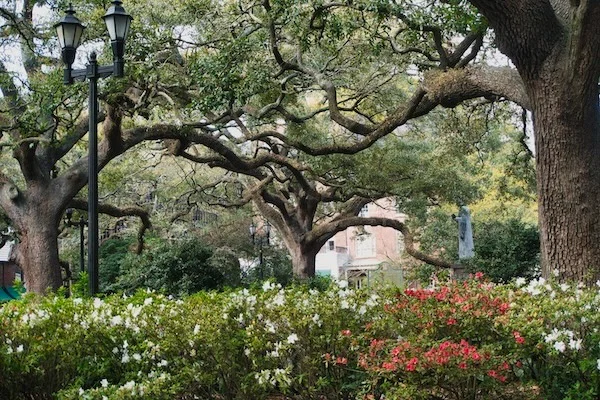 TTT-Historic-District-Savannah-GA-03