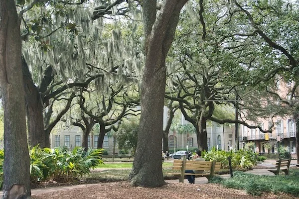 TTT-Historic-District-Savannah-GA-04
