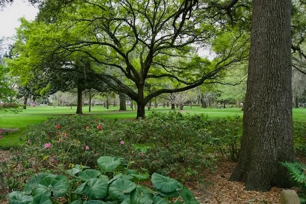 TTT-Historic-District-Savannah-GA-07