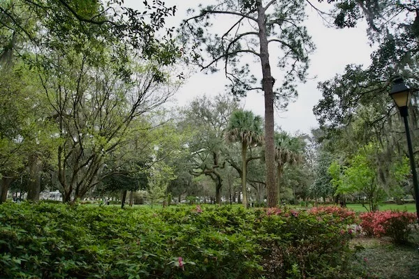 TTT-Historic-District-Savannah-GA-10