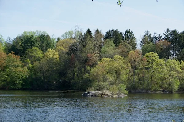 TTT-Mondo-Ponds-Nature-Preserve-Milford-CT-02