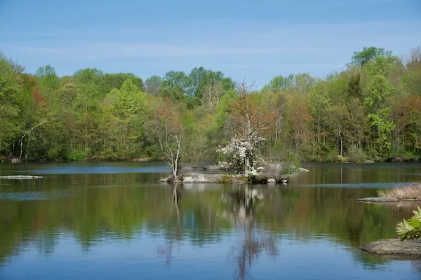 TTT-Mondo-Ponds-Nature-Preserve-Milford-CT-03