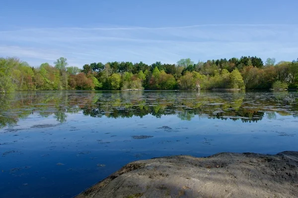 TTT-Mondo-Ponds-Nature-Preserve-Milford-CT-04