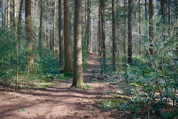 TTT-SP13-Utrecht-Path-Hollandsche Rading-Maarssen-01