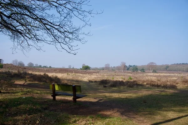 TTT-SP13-Utrecht-Path-Hollandsche Rading-Maarssen-02