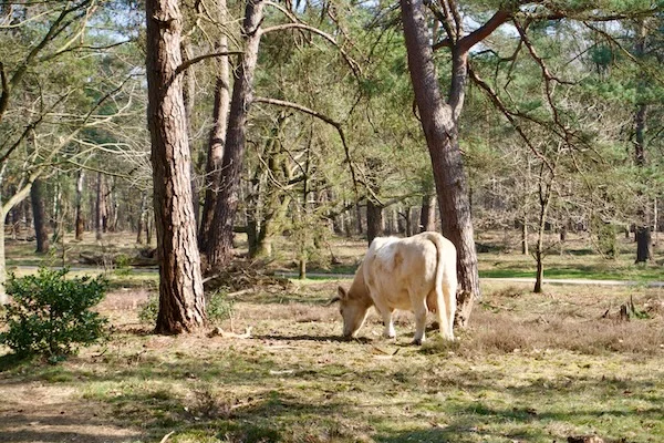 TTT-SP13-Utrecht-Path-Hollandsche Rading-Maarssen-04