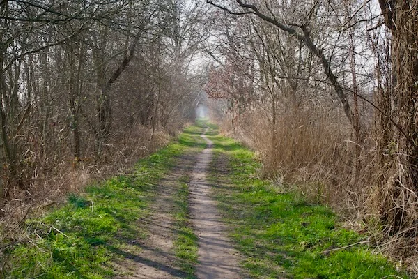 TTT-SP13-Utrecht-Path-Hollandsche Rading-Maarssen-09