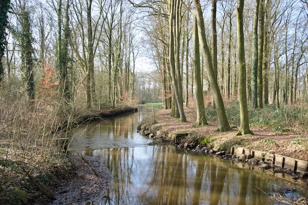 TTT-SP13-Utrecht-Path-Scherpenzeel-Amersfoort-03