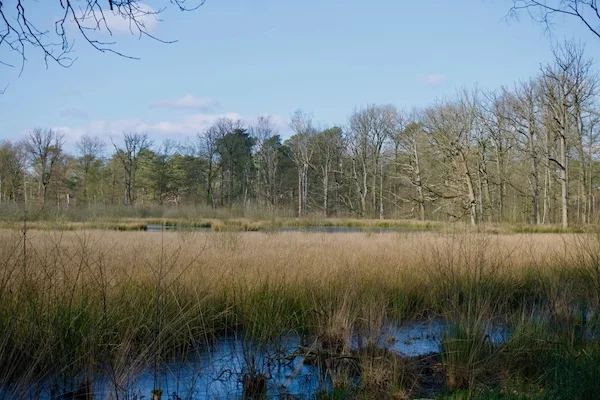 TTT-SP13-Utrecht-Path-Scherpenzeel-Amersfoort-11