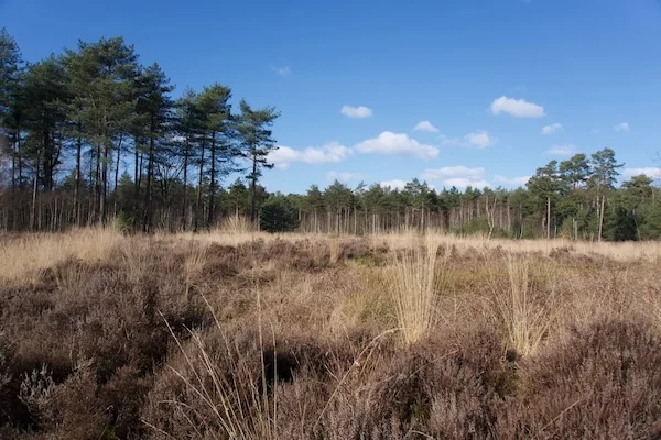 TTT-SP13-Utrecht-Path-Scherpenzeel-Amersfoort-13