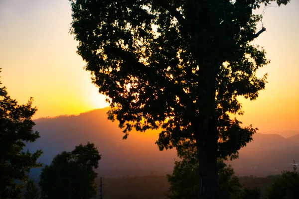 TTT-Airbnb-Oakhurst-CA-Sunset-01