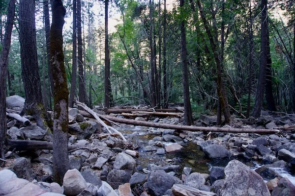 TTT-Bridalvail-Fall-05