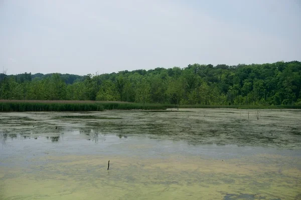 TTT- Cuyahoga-Valley-Scenic-Railroad-05