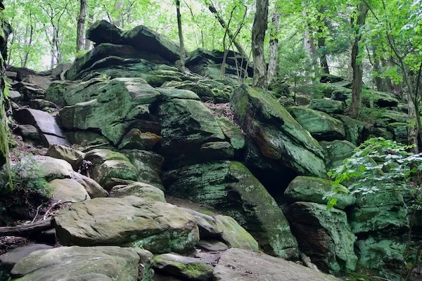 TTT-Ledges-Trail-Cuyahoga-NP-11
