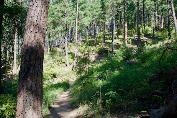 TTT-Mineral-Ridge-NRT-Coeur-d'Alene-ID-02