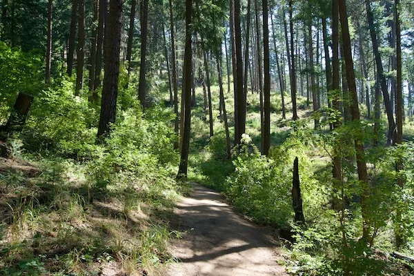 TTT-Mineral-Ridge-NRT-Coeur-d'Alene-ID-03
