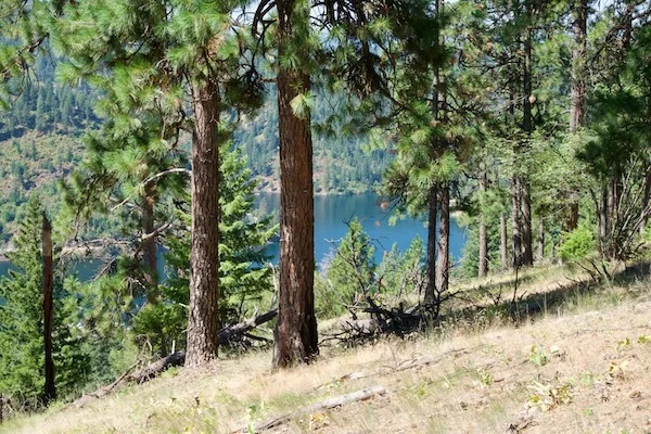 TTT-Mineral-Ridge-NRT-Coeur-d'Alene-ID-05
