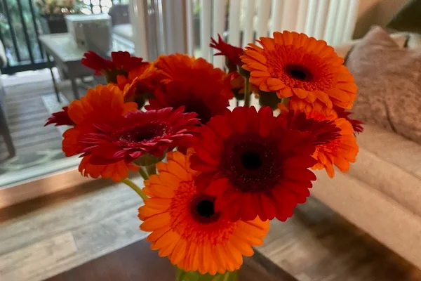 TTT-Petsitting-Welcome-Flowers-01