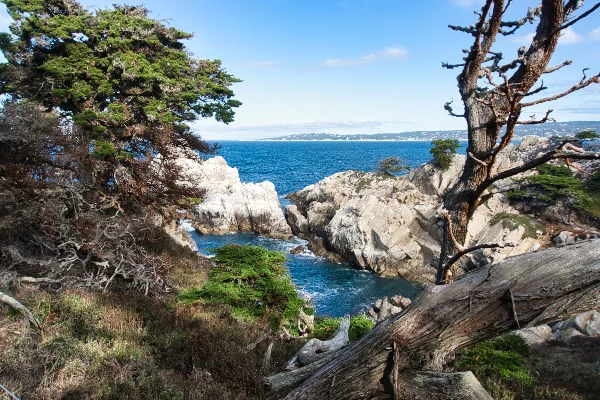 TTT-Point-Lobos-State-Reserve-03