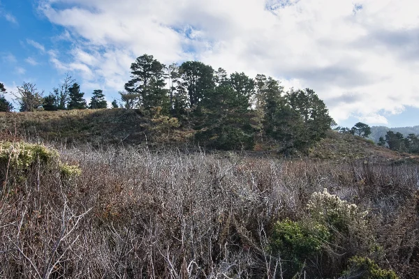 TTT-Point-Lobos-State-Reserve-04